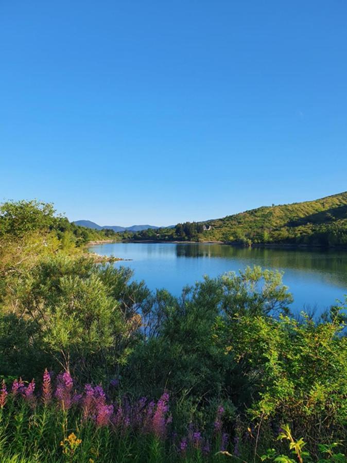 Il Bosco Di Campo Marzano Garden Apartments 보르조나사 외부 사진