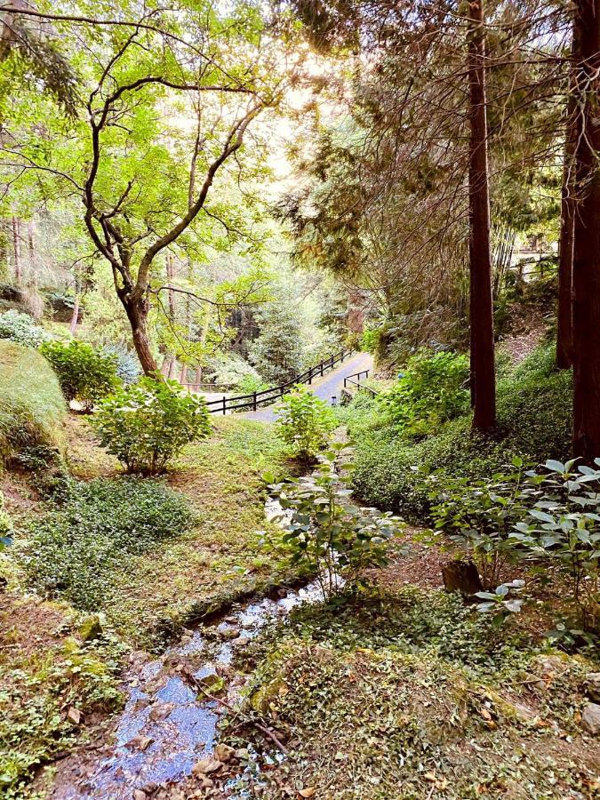 Il Bosco Di Campo Marzano Garden Apartments 보르조나사 외부 사진