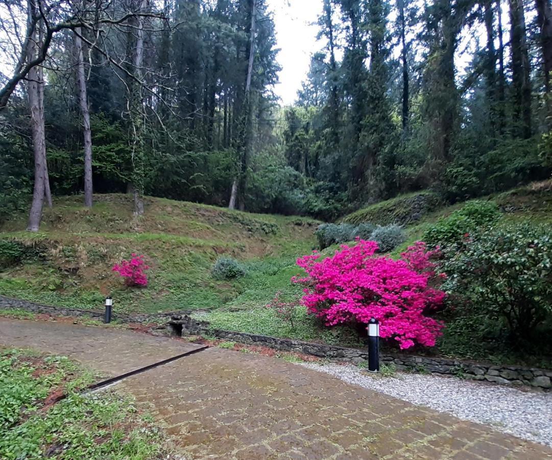 Il Bosco Di Campo Marzano Garden Apartments 보르조나사 외부 사진