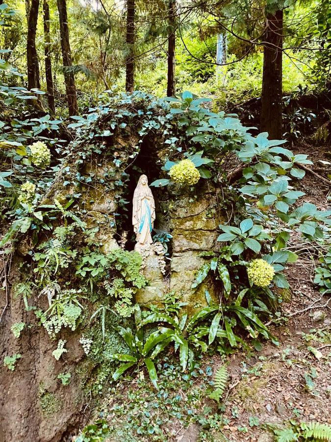 Il Bosco Di Campo Marzano Garden Apartments 보르조나사 외부 사진