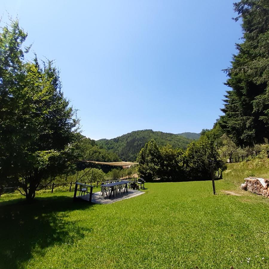 Il Bosco Di Campo Marzano Garden Apartments 보르조나사 외부 사진