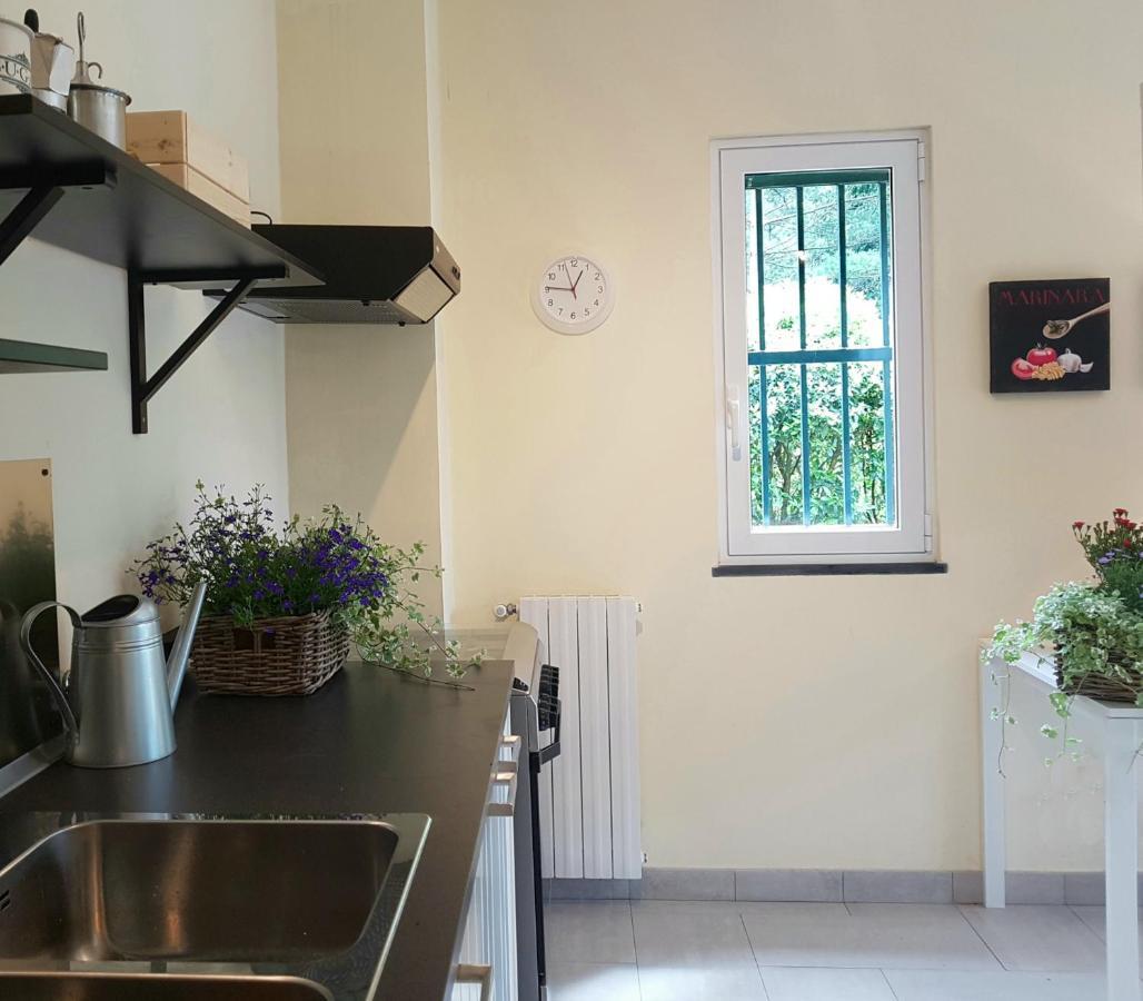 Il Bosco Di Campo Marzano Garden Apartments 보르조나사 외부 사진