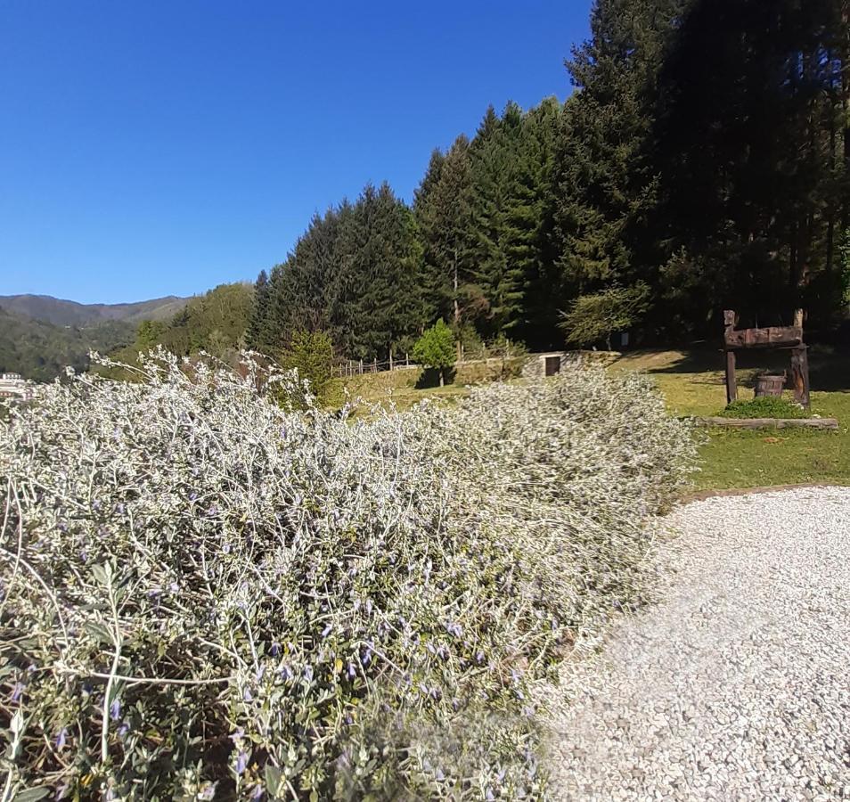 Il Bosco Di Campo Marzano Garden Apartments 보르조나사 외부 사진