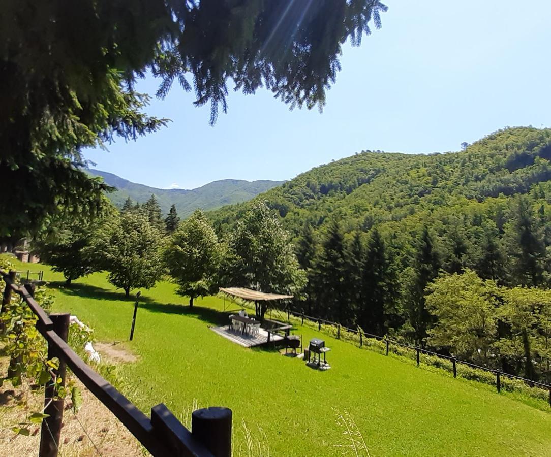 Il Bosco Di Campo Marzano Garden Apartments 보르조나사 외부 사진