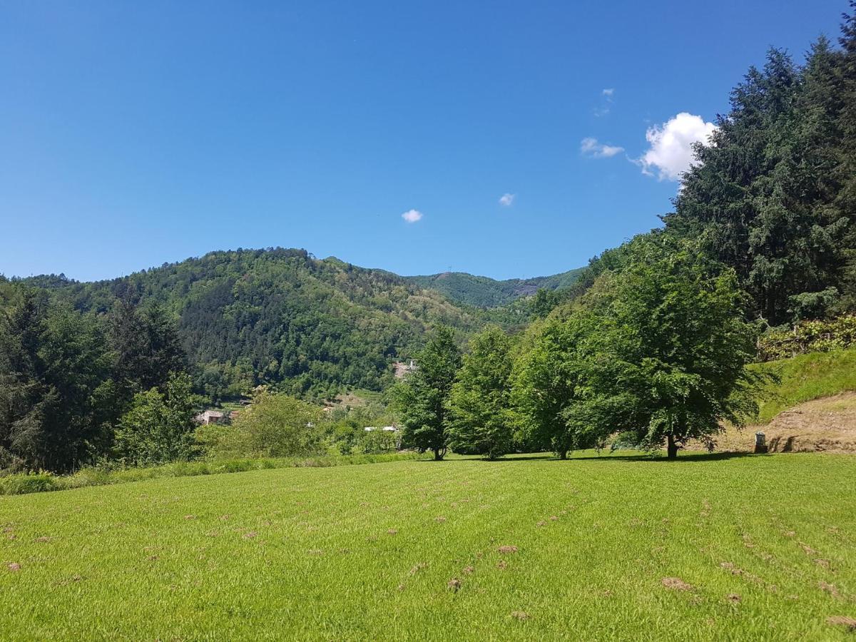 Il Bosco Di Campo Marzano Garden Apartments 보르조나사 외부 사진