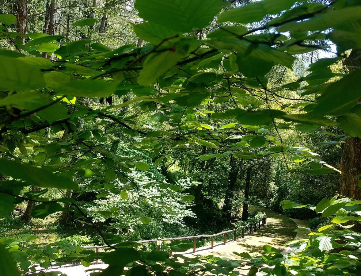 Il Bosco Di Campo Marzano Garden Apartments 보르조나사 외부 사진