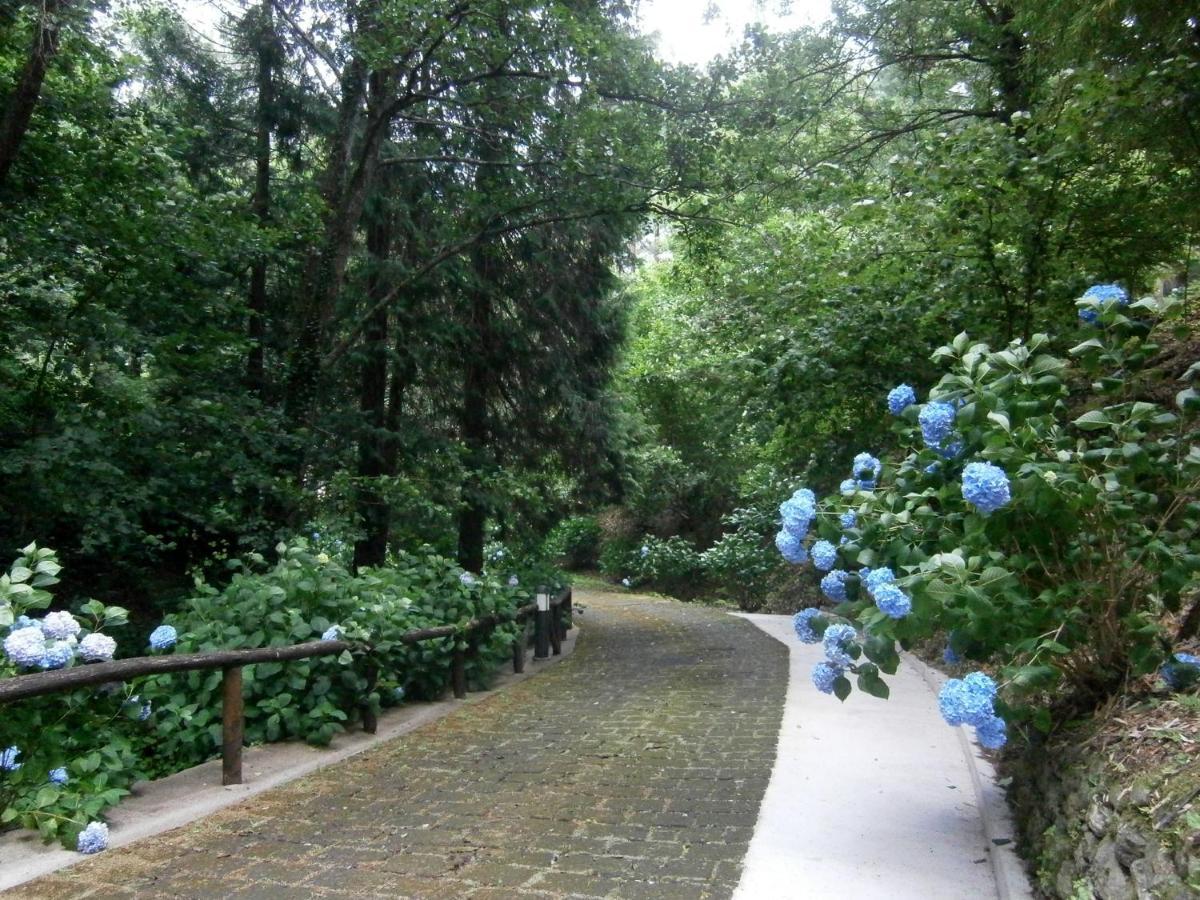 Il Bosco Di Campo Marzano Garden Apartments 보르조나사 외부 사진