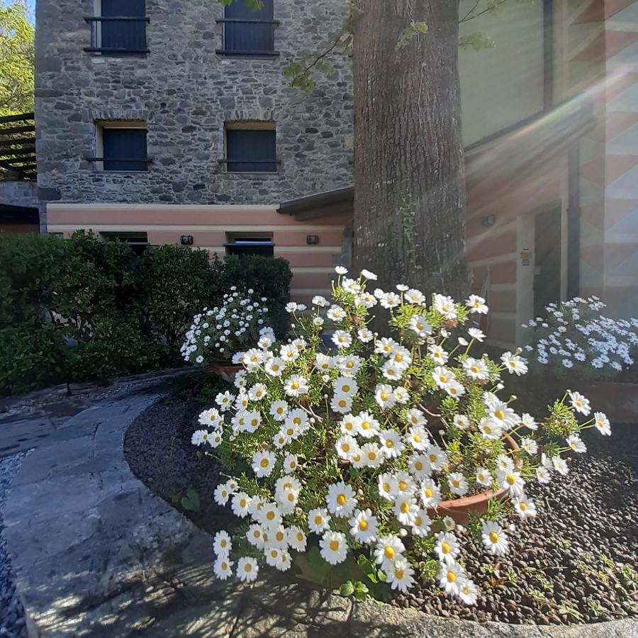 Il Bosco Di Campo Marzano Garden Apartments 보르조나사 외부 사진